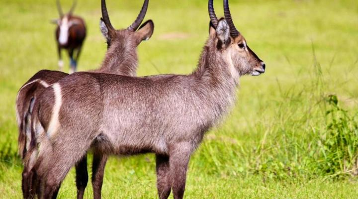 Tranquility-Ukuthula Guesthouse