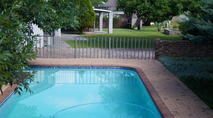 Aloes 62 on Meintjies