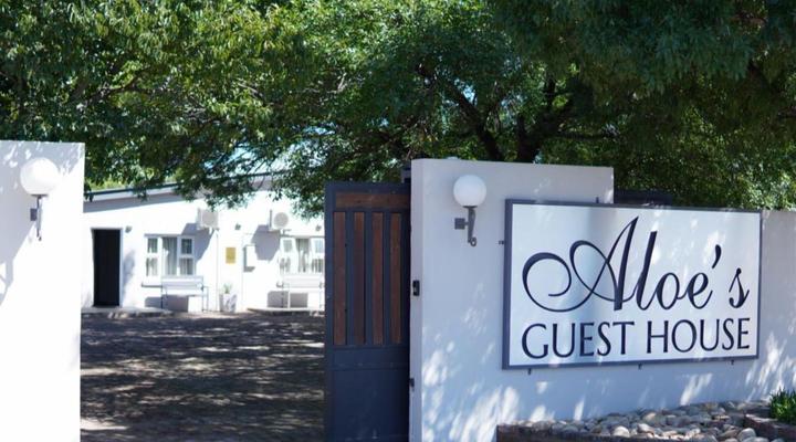 Aloes 62 on Meintjies