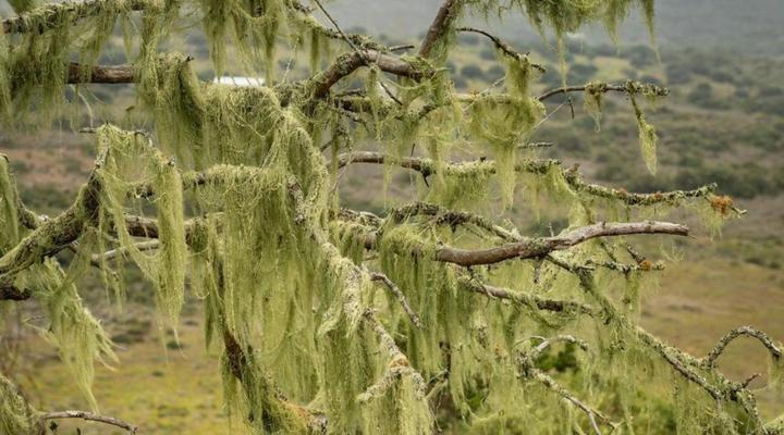 Baardbos Private Game Reserve