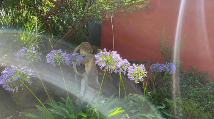 Fifty Galena, Affordable luxury