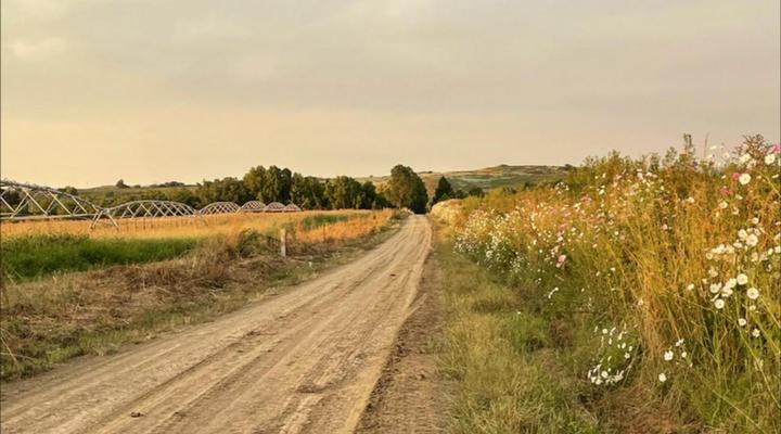 Riverside Cottages and Campsite