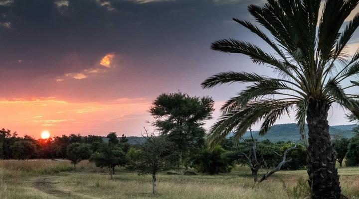 Hayward's Safari House