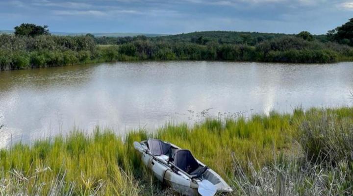 Hayward's Safari House