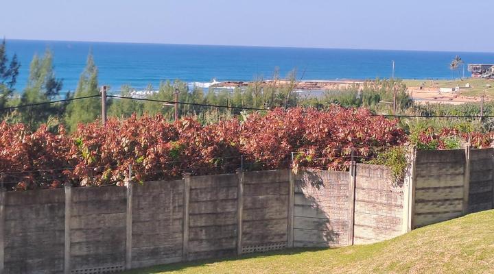 Dolphin View Self Catering