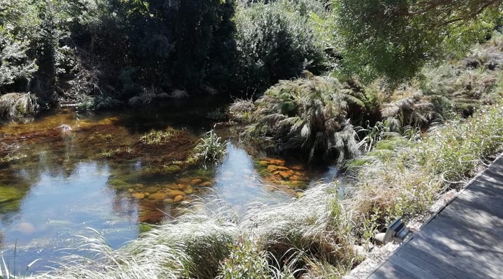 316 SLOMO De Hollandsche Molen
