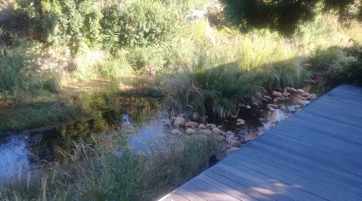 316 SLOMO De Hollandsche Molen