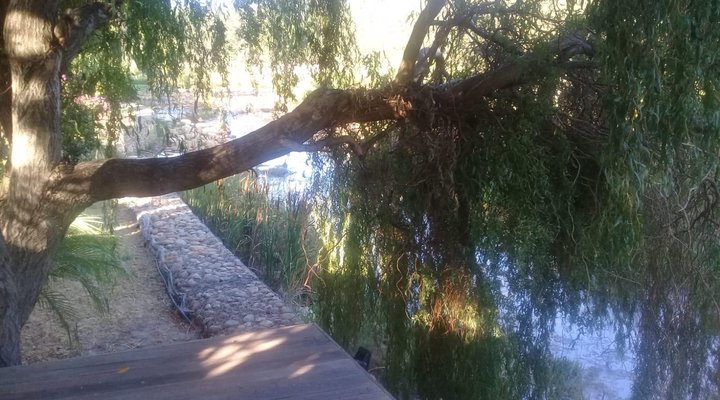 316 SLOMO De Hollandsche Molen