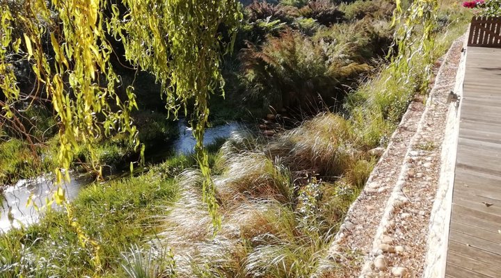 316 SLOMO De Hollandsche Molen