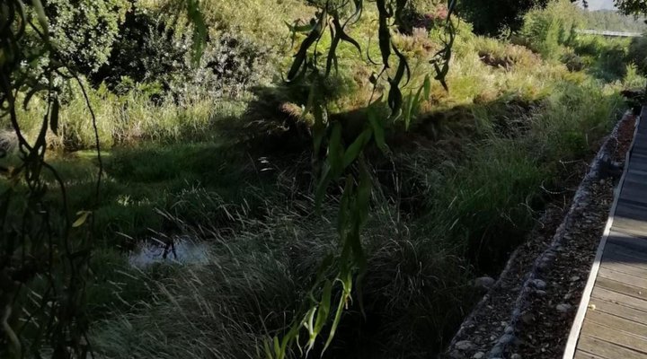 316 SLOMO De Hollandsche Molen