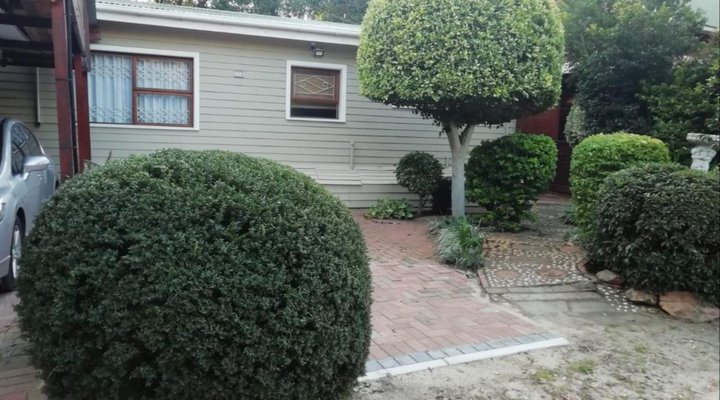 316 SLOMO De Hollandsche Molen