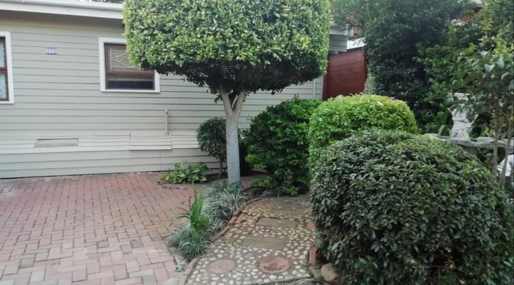 316 SLOMO De Hollandsche Molen