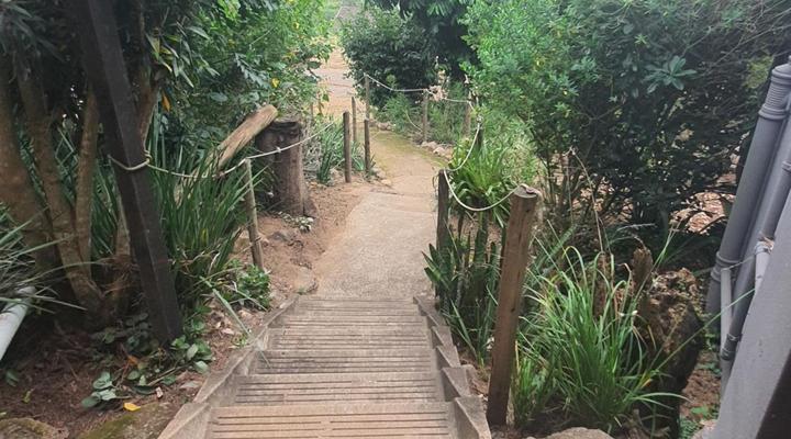 Protea Hill Guesthouse