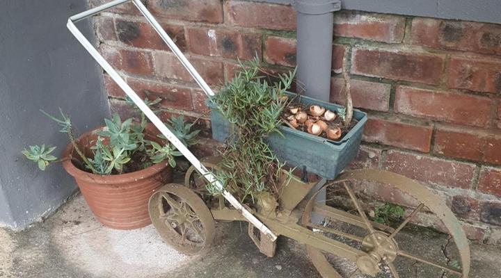 Protea Hill Guesthouse