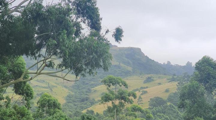 Protea Hill Guesthouse