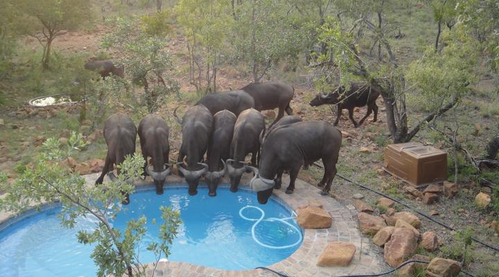 25 Cyferfontein Mabalingwe