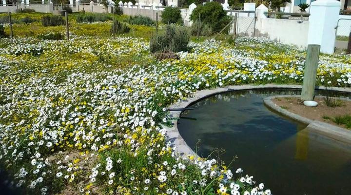 Bahama Self-Catering Long Acres