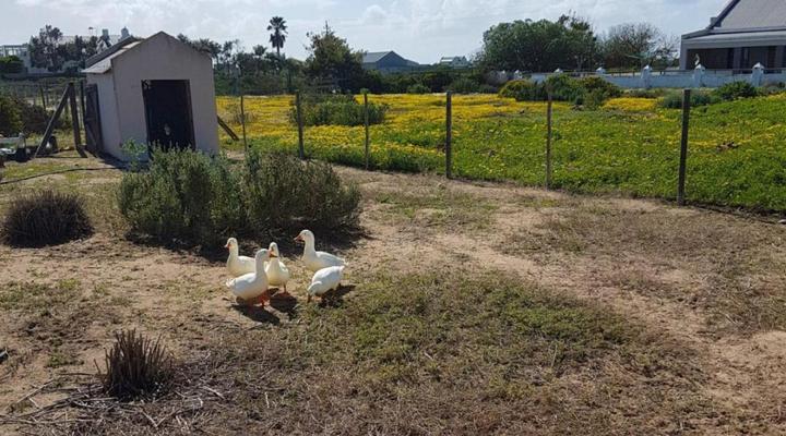 Bahama Self-Catering Long Acres