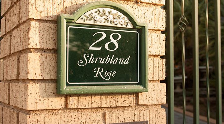 Shrubland Rose