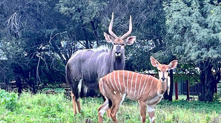 Red Cliff Lodge – Off-Grid Self Catering Eco Retreat