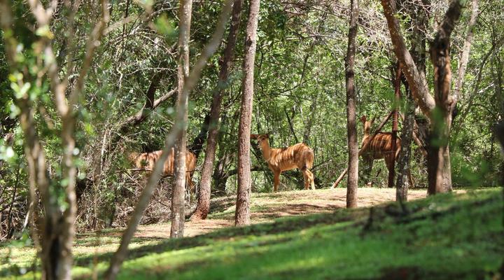 Red Cliff Lodge – Off-Grid Self Catering Eco Retreat
