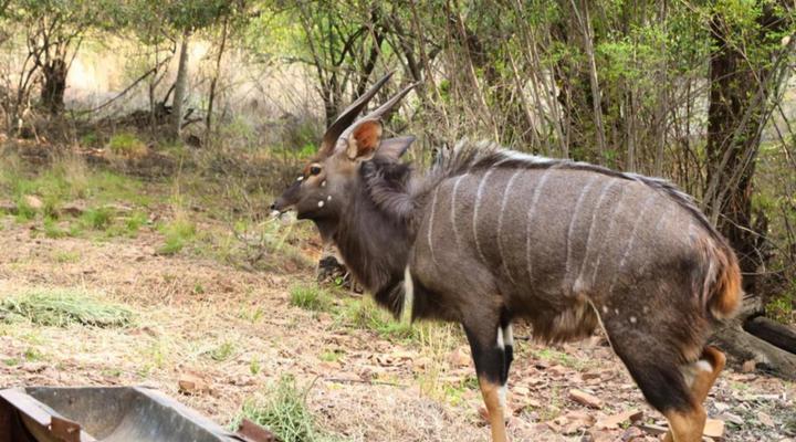 Red Cliff Lodge – Off-Grid Self Catering Eco Retreat