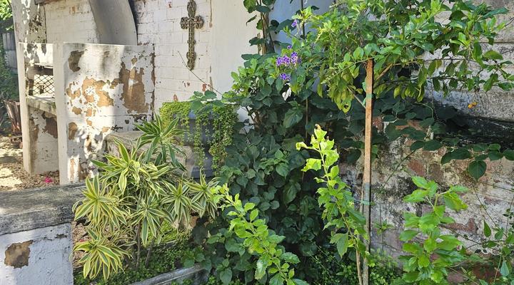 le'Cottage on Raymond