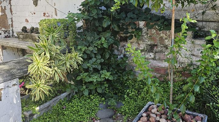 le'Cottage on Raymond