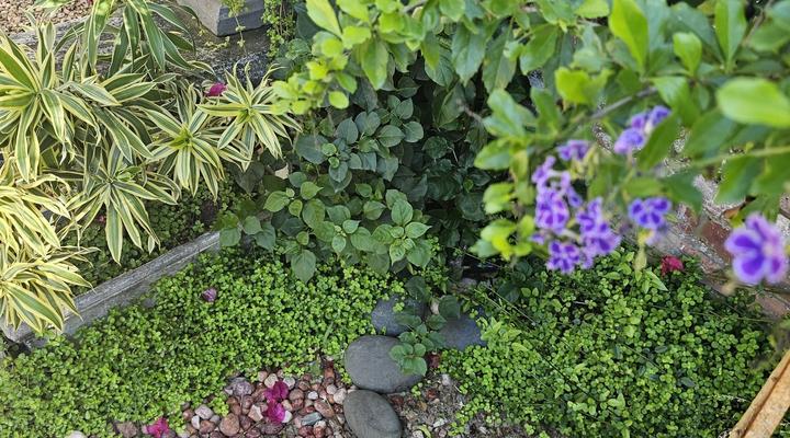 le'Cottage on Raymond