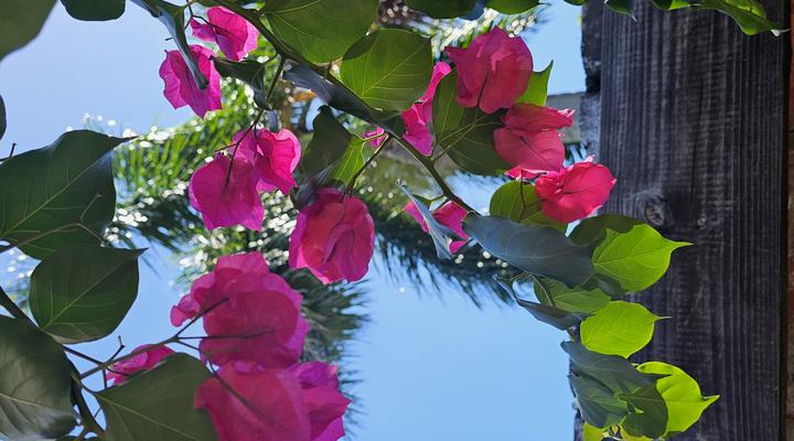 le'Cottage on Raymond