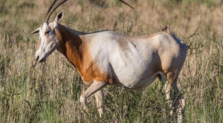 Loch Maree Guest Farm & Field Camp