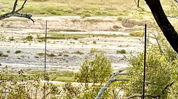 Kierieklapper River House