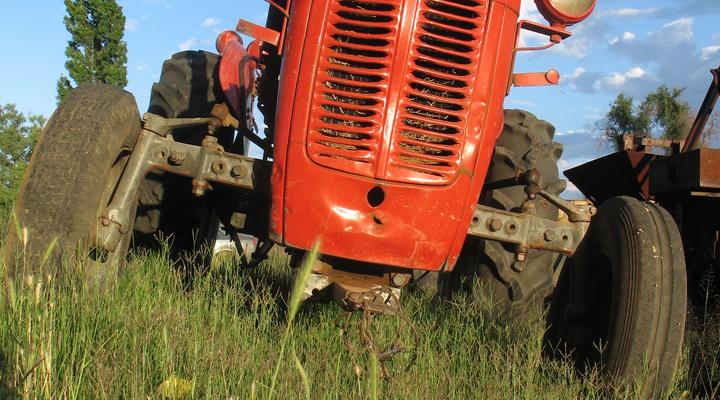 Die Groenhuis Guest House