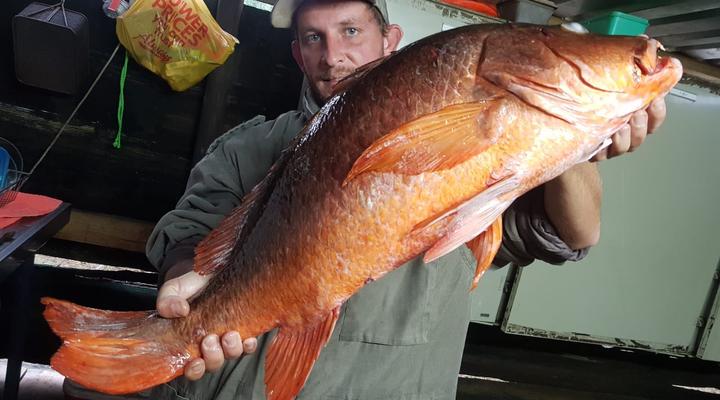 Hippo Valley Cabanas