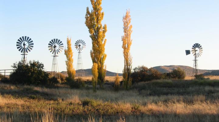 Die Groenhuis Guest House