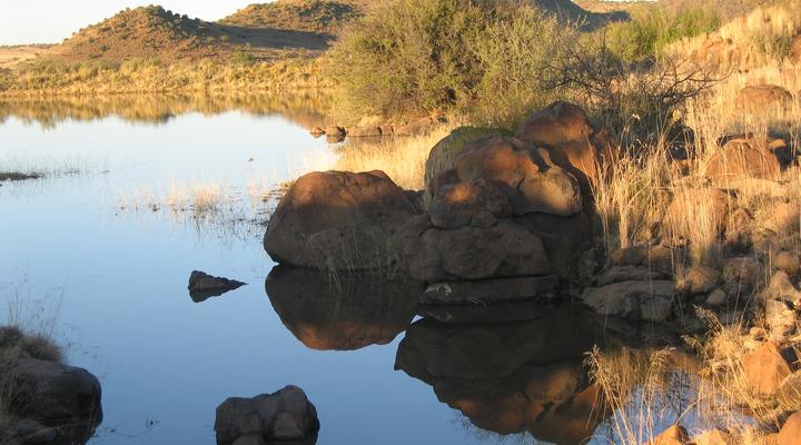 Die Groenhuis Guest House