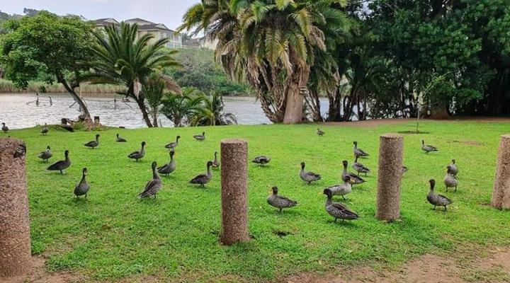 Fair Haven Guest Suite