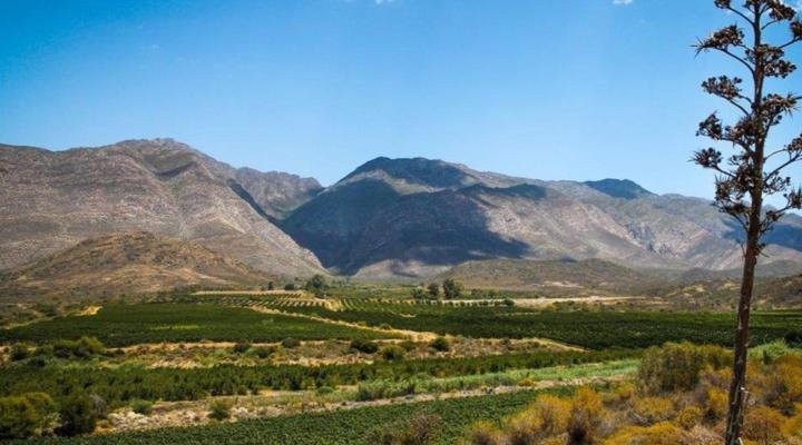 Bon Accord Farm Cottages
