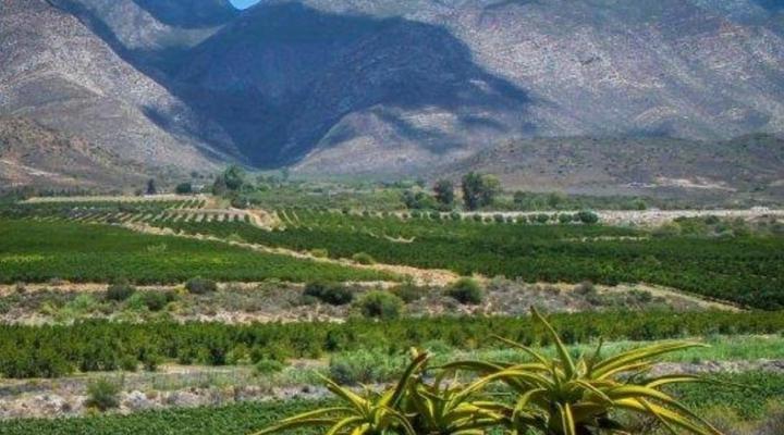 Bon Accord Farm Cottages