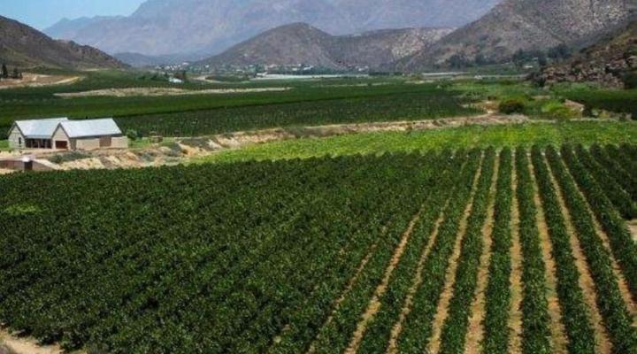 Bon Accord Farm Cottages