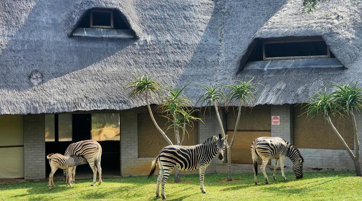 Buyskop Lodge, Conference & Spa