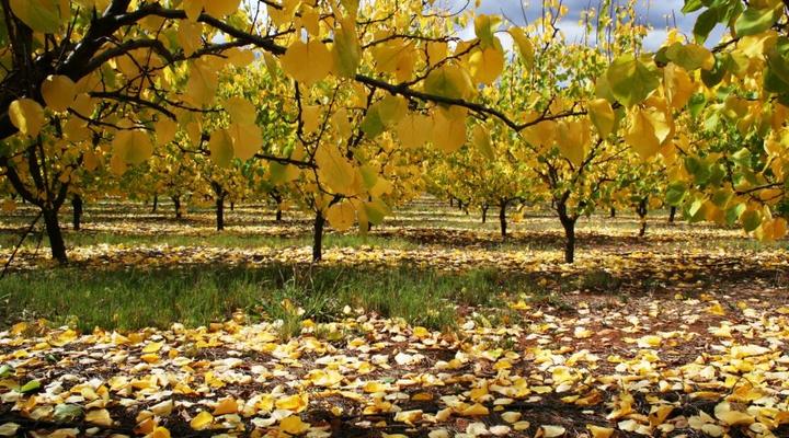 Langkloof Gallery And Sculpture Garden