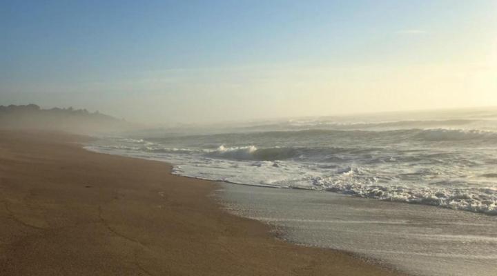 Sea La Vie - Southport