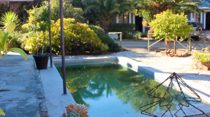 Die Blou Nartjie Guesthouse and Restaurant