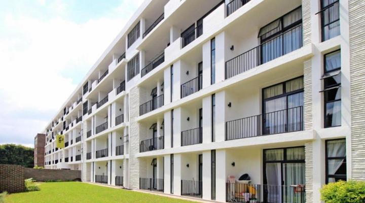 The Solo - 409 and 411