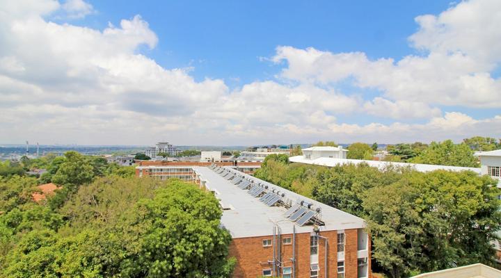 The Solo - 409 and 411