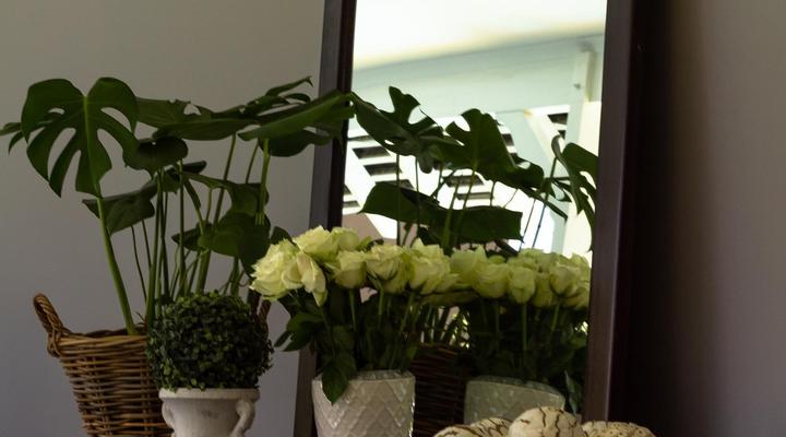 Treehouse on Maple B&B