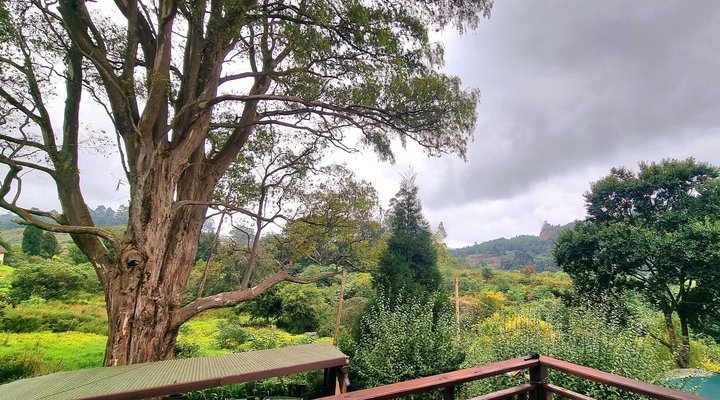 Toi Home In Da Hills