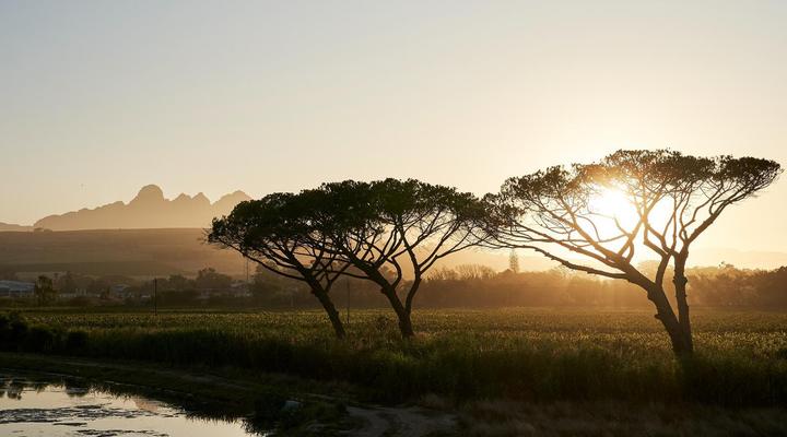 Vergenoegd Löw Boutique Hotel & Spa