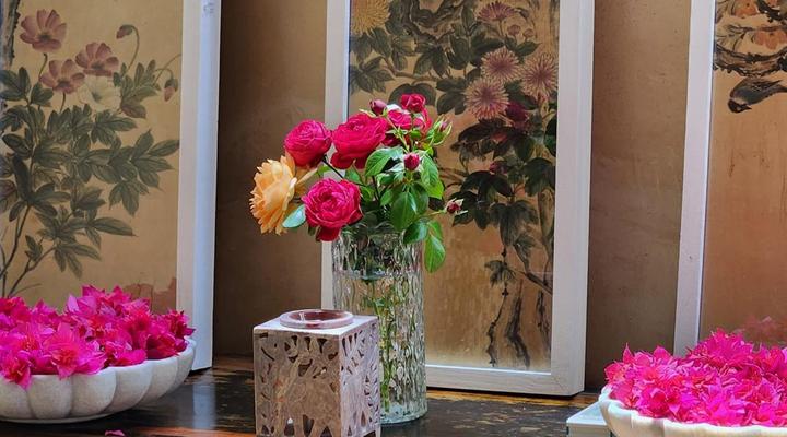 Bella Bohemia Spa, Venue and Guest Farm